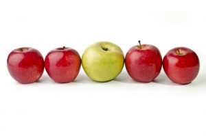 Imagen de manzanas de diferentes colores y formas