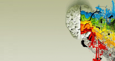 imagen de un cerebro de colores